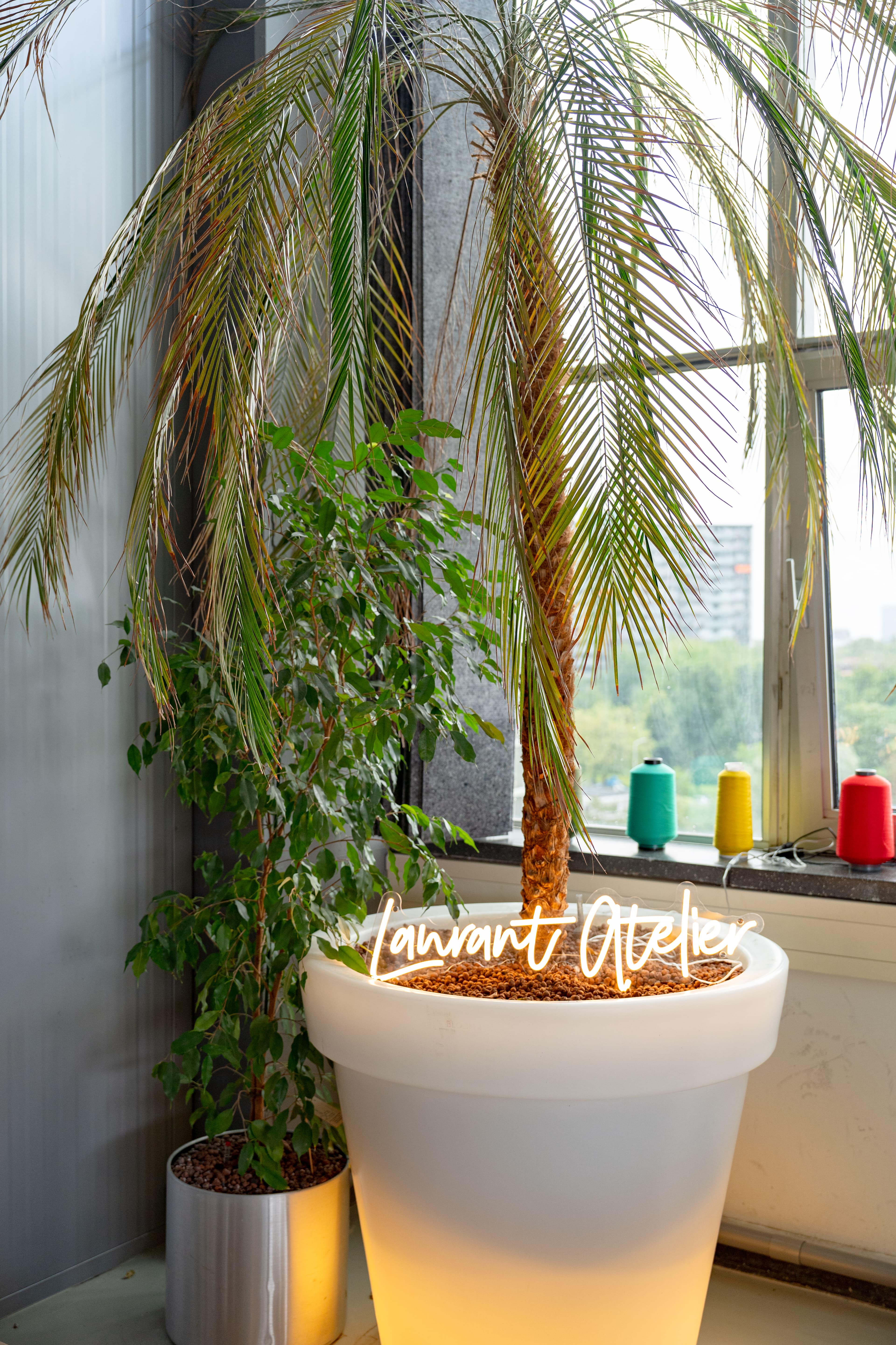 Gezonde snacks bij workshops